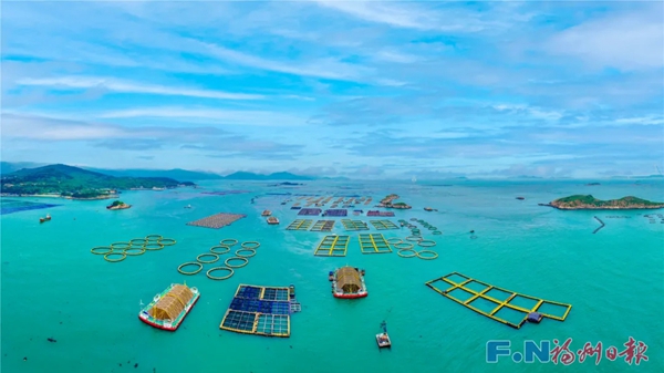 挺进深远海!福建这里打造“蓝色粮仓” 挺进深远海!福建这里打造“蓝色粮仓”