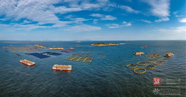 挺进深远海!福建这里打造“蓝色粮仓” 挺进深远海!福建这里打造“蓝色粮仓”
