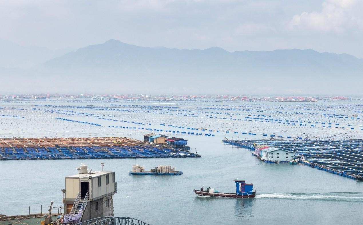 China vigorously builds marine ranches