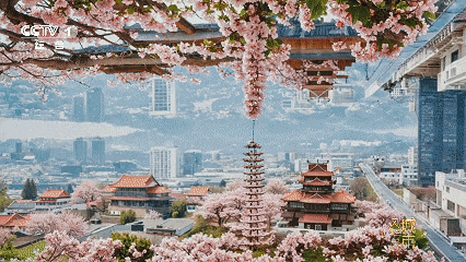 福建船政，闪耀央视！